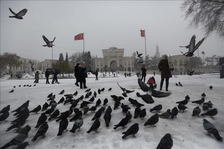 <p>Doğu Karadeniz'in iç kesimleri ile Doğu Anadolu'nun kuzey ve doğusunda çığ tehlikesi bulunmaktadır.</p>