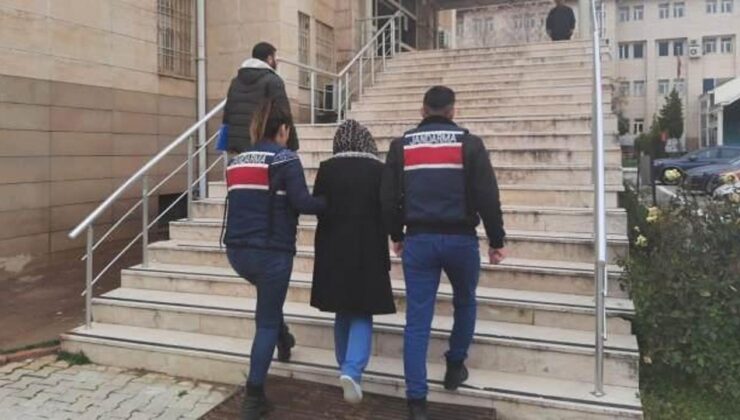 Dorşin Botan kod adlı PKK’lı terörist yakalandı