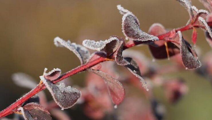 Meteorolojiden çiftçilere önemli uyarı!