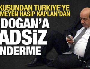 DEM Partili Hasip Kaplan’dan Cumhurbaşkanı Erdoğan’la ilgili hadsiz tweet