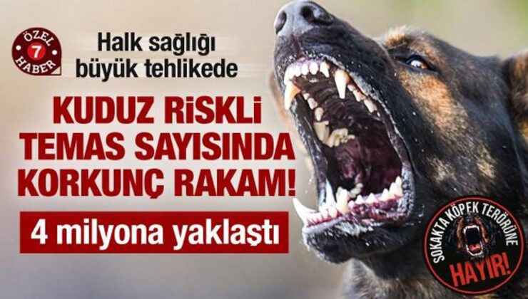 Kuduz riskli temas sayısında korkunç rakamlar: Son 15 yılda 4 milyon kişiye yaklaştı!