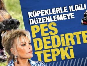 Ajda Pekkan’dan köpeklerle ilgili düzenlemeye ilginç tepki: ‘Bizi de uyutsunlar o zaman’