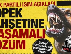 AK Partili Güler, Başkent Kulisi’nde açıkladı! İşte köpek düzenlemesinin ayrıntıları…