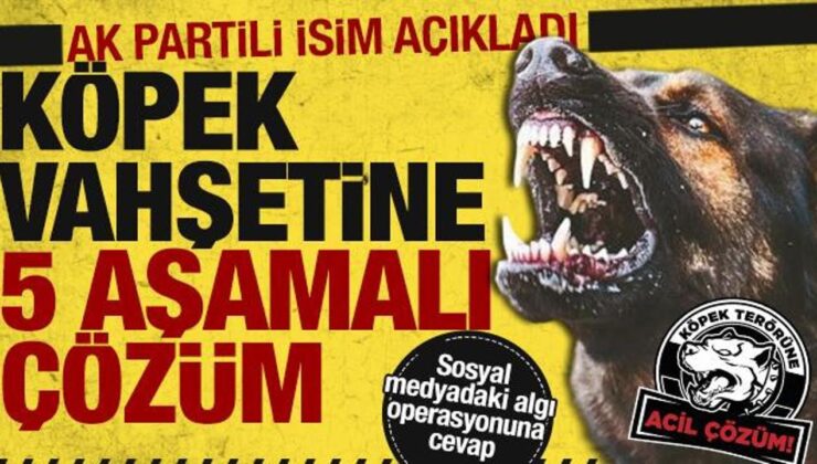 AK Partili Güler, Başkent Kulisi’nde açıkladı! İşte köpek düzenlemesinin ayrıntıları…