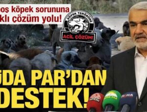 Başıboş köpek sorununa 3 farklı çözüm yolu! HÜDA Par’dan destek geldi