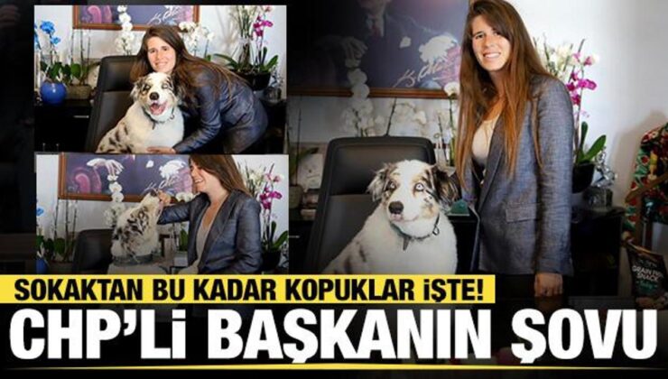 CHP’li Çeşme Belediye Başkanı Lal Denizli, makam koltuğuna köpek oturttu