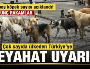 Çok sayıda ülkeden Türkiye’ye seyahat uyarısı! Korkunç rakamlar açıklandı