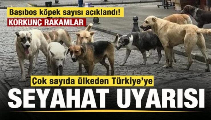 Çok sayıda ülkeden Türkiye’ye seyahat uyarısı! Korkunç rakamlar açıklandı