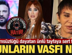 Çözümsüzlüğü dayatan ünlü tayfaya sert tepki: Bunların vasfı ne?