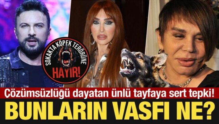 Çözümsüzlüğü dayatan ünlü tayfaya sert tepki: Bunların vasfı ne?