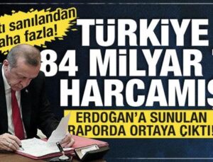 Cumhurbaşkanı Erdoğan’a sunulan başıboş sokak köpeği raporunda çarpıcı detaylar