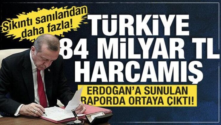 Cumhurbaşkanı Erdoğan’a sunulan başıboş sokak köpeği raporunda çarpıcı detaylar