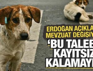 Cumhurbaşkanı Erdoğan’dan başıboş köpek düzenlemesiyle ilgili açıklama