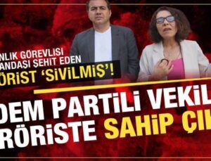 DEM Partili vekil 6 terör eyleminin failine ‘sivil’ diyerek sahip çıktı!