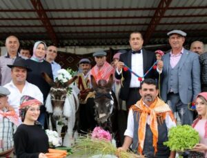 Eşeklere nikah kıyıp balayına gönderdiler: Şarkıcı Aydın Aydın da eşlik etti