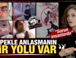 Nevşin Mengü ‘Sorun insanlarda’ dedi çözüm yolunu anlattı: Köpekle anlaşmanın bir yolu var