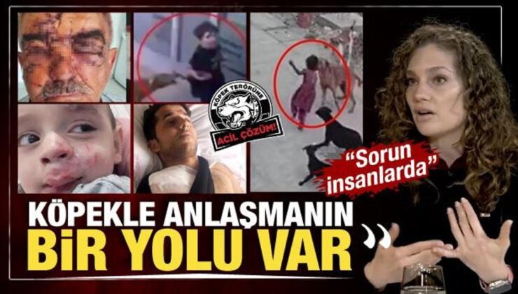 Nevşin Mengü ‘Sorun insanlarda’ dedi çözüm yolunu anlattı: Köpekle anlaşmanın bir yolu var