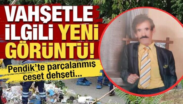 Pendik’te parçalanmış ceset dehşetiyle ilgili yeni görüntü ortaya çıktı