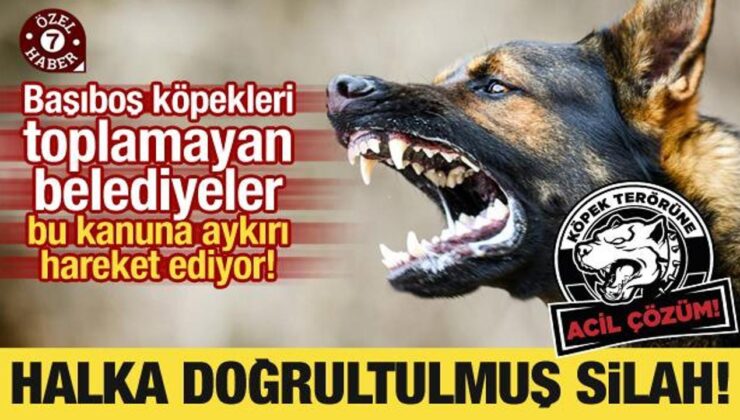 Vatandaşı tehlikeden koruyan kanuna aykırı hareket ediyorlar! ‘Halka doğrultulmuş silah!’