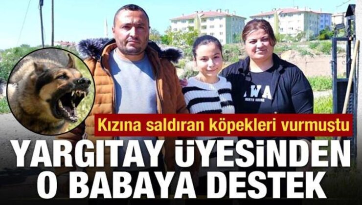 Yargıtay üyesinden kızına saldıran köpekleri vuran babaya destek!