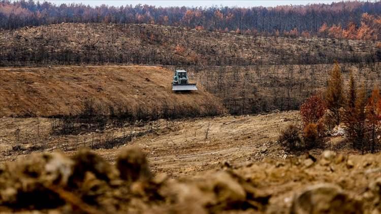 <p>2022 yılında Türkiye genelinde 12 bin 665 hektar alan orman yangınlarında zarar gördü. Yangınların 2 bin 340 hektarda örtü yangını olması, 1127 hektarda da bölgenin taşlık-kayalık yapısından dolayı çalışmalara uygun olmaması nedeniyle toplam 3 bin 467 hektarda durum doğal akışına bırakıldı. </p>