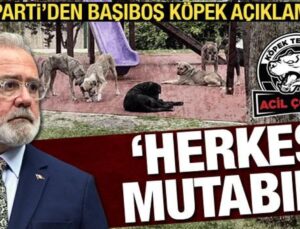 AK Parti’den başıboş sokak köpeği açıklaması