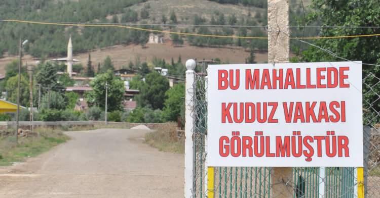 <p>Gaziantep'in İslahiye ilçesinde bir kişiyi ısıran köpeğin kuduz olduğu ortaya çıkınca Yolbaşı Mahallesi 6 ay süreyle karantinaya alındı.</p>