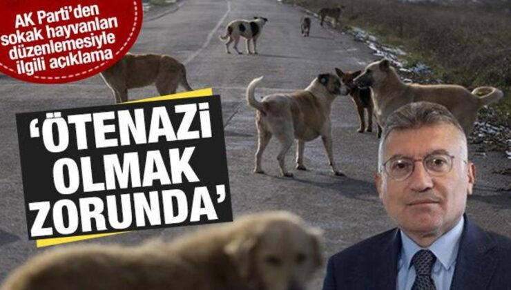 AK Parti’den sokak hayvanları düzenlemesiyle ilgili yeni açıklama: Ötenazi olmak zorunda
