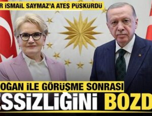 Akşener, Erdoğan ile görüşmesi sonrası sessizliğini bozdu!