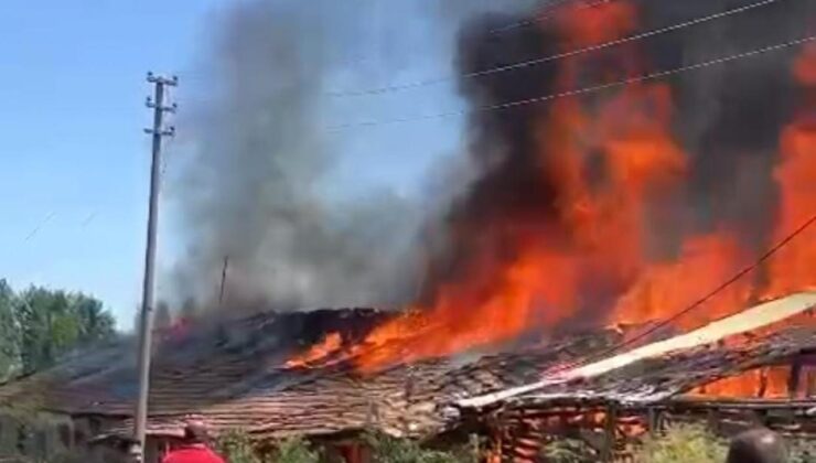 Ankara’da ahır yangını; 12 büyükbaş telef oldu