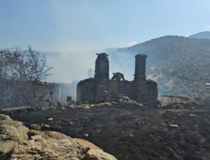 Aydın’da yangın: 10 ev küle döndü!