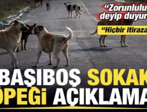 Bakan Koca’dan son dakika başıboş sokak köpeği açıklaması! ‘Zorunluluk’ deyip duyurdu