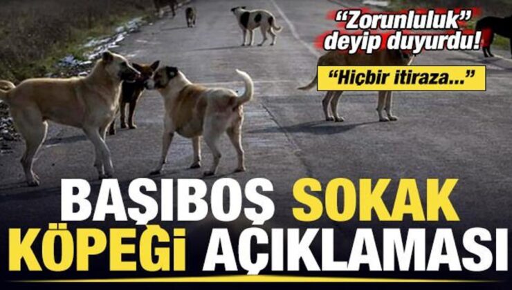 Bakan Koca’dan son dakika başıboş sokak köpeği açıklaması! ‘Zorunluluk’ deyip duyurdu