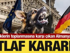 Başıboş köpeklerin toplanmasına karşı çıkan Almanya’dan itlaf kararı!