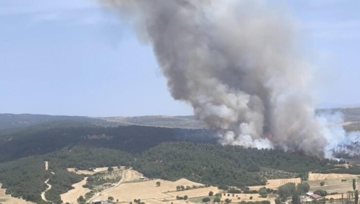 Çanakkale’de korkutan orman yangını