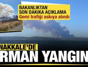 Çanakkale’de orman yangını: Gemi trafiği geçici olarak askıya alındı!