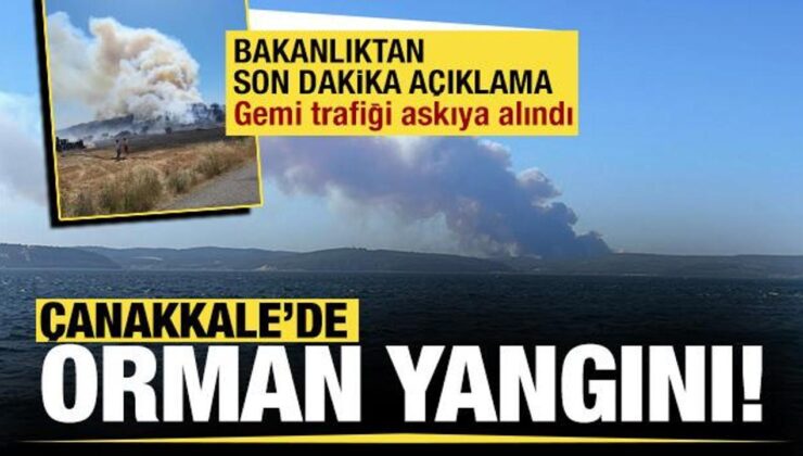 Çanakkale’de orman yangını: Gemi trafiği geçici olarak askıya alındı!