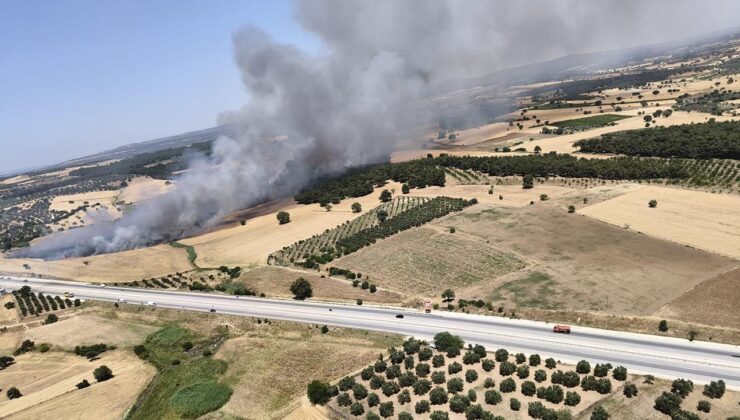 Çanakkale’de ormanlık alanda yangın!