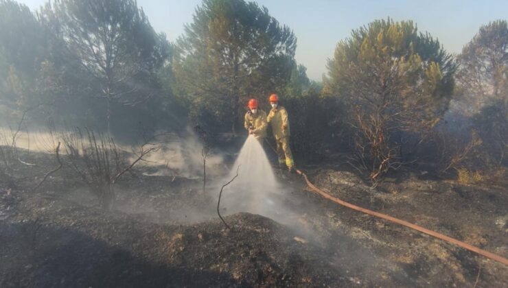 Çanakkale’de ormanlık alandaki yangın kontrol altına alındı