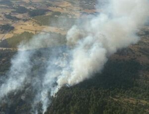 Çanakkale’deki orman yangınında 5 hektar alan zarar gördü