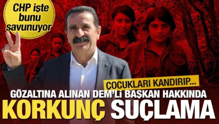 CHP’nin savunduğu DEM’li ‘başkanın’ suç dosyası