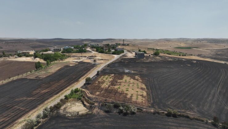 Diyarbakır-Mardin sınırındaki yangında ölü sayısı arttı