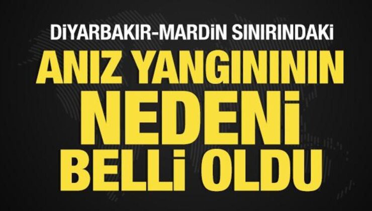 Diyarbakır’daki anız yangınının nedeni belli oldu