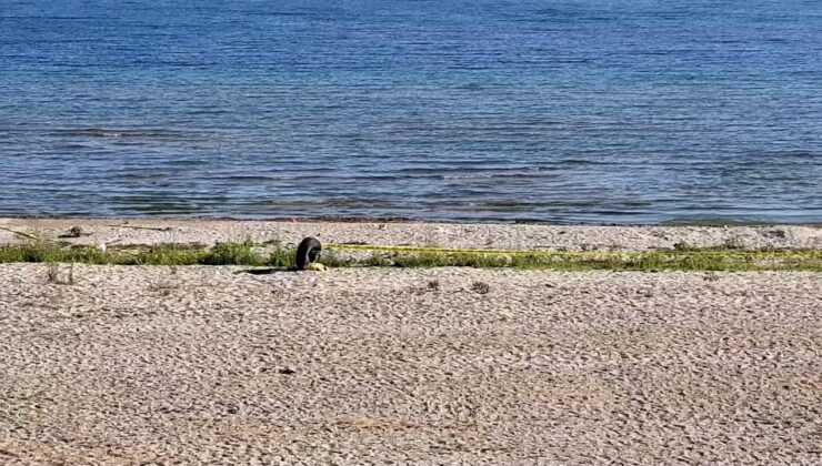 Eğirdir Gölü’ndeki el bombaları imha edilmek üzere çıkarıldı