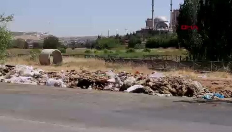Gaziantep’te, yol kenarlarına atılan yüzlerce kurban derisi ve atık tepki topladı