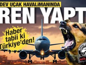 Havalimanında başıboş köpek paniği! Uçak aniden durmak zorunda kaldı