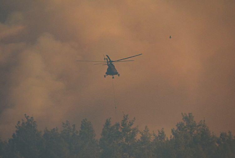 <p>İhbar üzerine İzmir Orman Bölge Müdürlüğüne bağlı 4 uçak, 5 helikopter, 18 arazöz, 5 su ikmal aracı ve 5 dozer sevk edildi.</p>