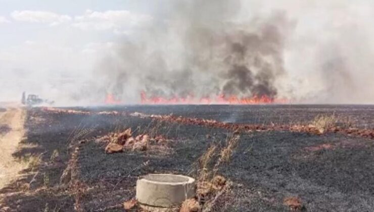 Kahramanmaraş’ta yaklaşık 150 dönüm buğday tarlası yandı