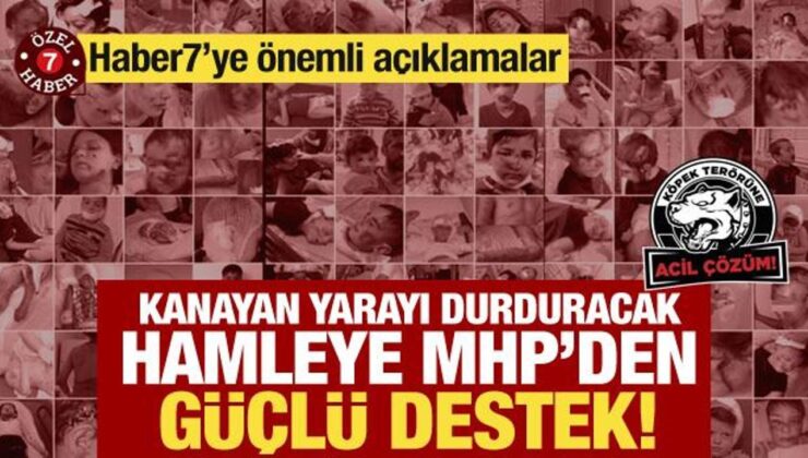 Kanayan yarayı durduracak kanun teklifine MHP’den destek! Haber7’ye önemli açıklama