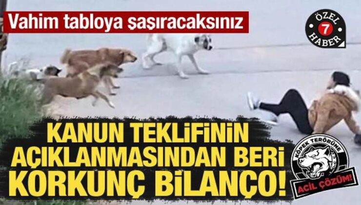 Kanun teklifinin açıklanmasından beri korkunç bilanço!